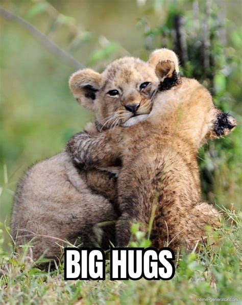 big hug meme